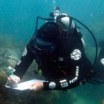 Monitorando a saúde dos corais