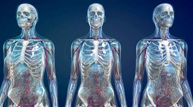 Reprodução assistida