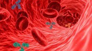 Os preciosos anticorpos