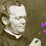 Gregor Mendel - 2ª Lei de Mendel
