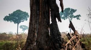 O ambiente após a queda de Salles