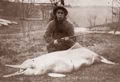 Um golfinho Baiji morto em 1914 por Charles Hoy, um americano.