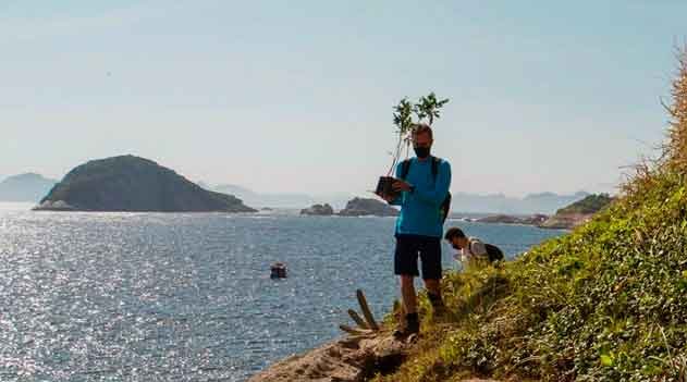 Retirada do capim-colonião e restauração ecológica das Ilhas Cagarras