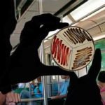 Ecossistema microbiano de áreas urbanas