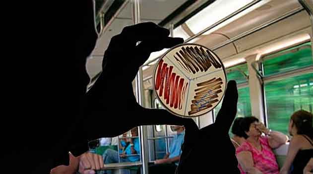 Ecossistema microbiano de áreas urbanas