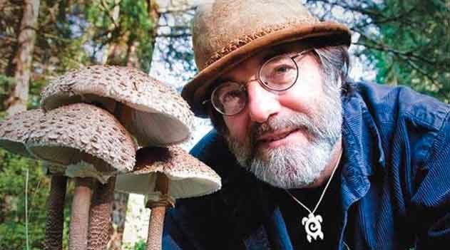 Fungos Fantásticos (Fantastic Fungi)