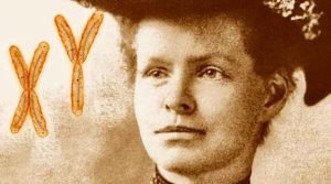 Nettie Stevens e os cromossomos sexuais
