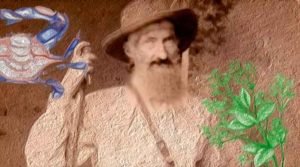 Fritz Müller revisitado