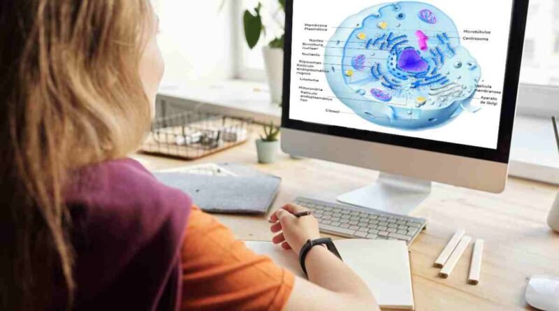 Ferramentas online para aprimorar estudos de Biologia do ENEM