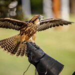 Investimento na biologia Investimento na biologia: uma defesa pela ciência