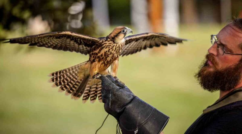 Investimento na biologia: uma defesa pela ciência