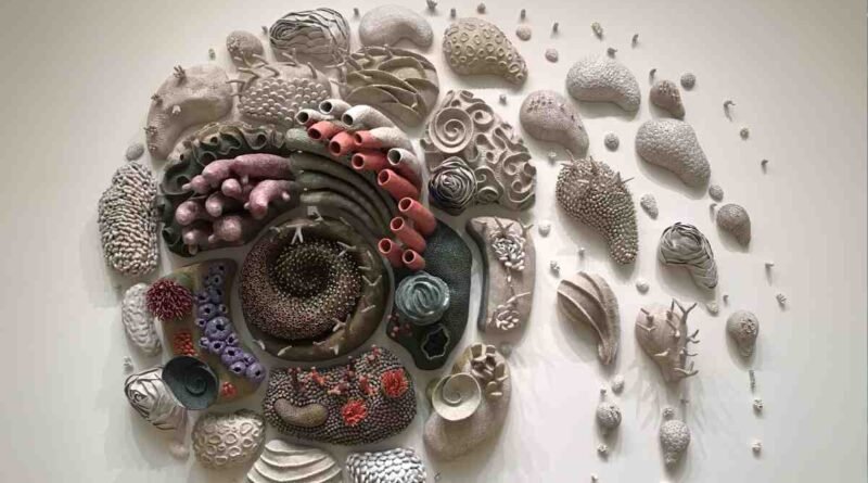 Courtney Mattison - Biologia e Arte em padrões que inspiram a estética