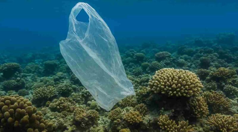 Impacto do Lixo nos recifes de coral no Brasil