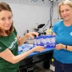 Recentes e revolucionarias descobertas em biologia Recentes e revolucionarias descobertas em biologia